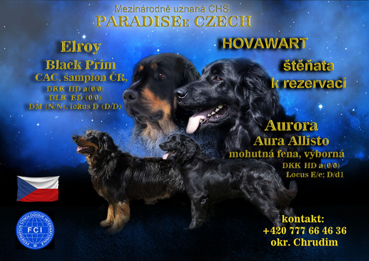 banner elroy