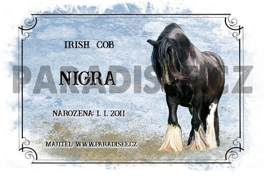 BLACK HORSE - cedule na box s vlastním jménem....