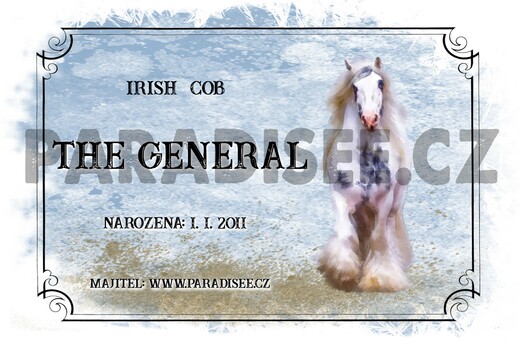 The GENERAL - cedule na box s vlastním jménem...