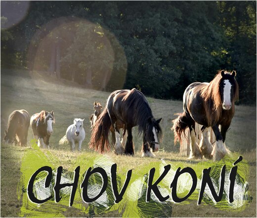 tlačítko chov koní.jpg