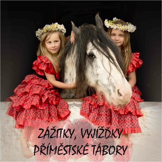 TLAČÍTKO VYJÍŽDKY.jpg