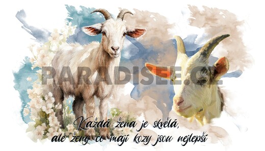 BÍLÁ koza - termoska, termohrnky, smalt, keramika, sklo