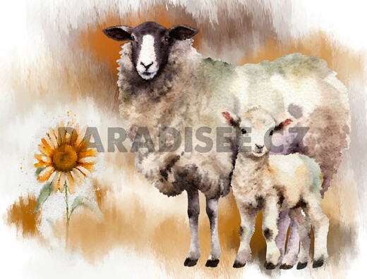 WEB ALU ovce farma Bez názvu-1.jpg