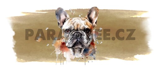 WEB french buldog.jpg